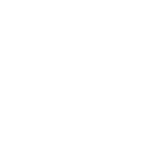 Vortex Optics